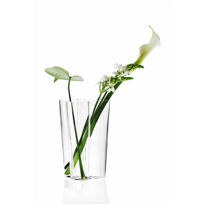 iittala Home