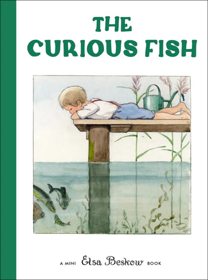 Curious Fish Mini