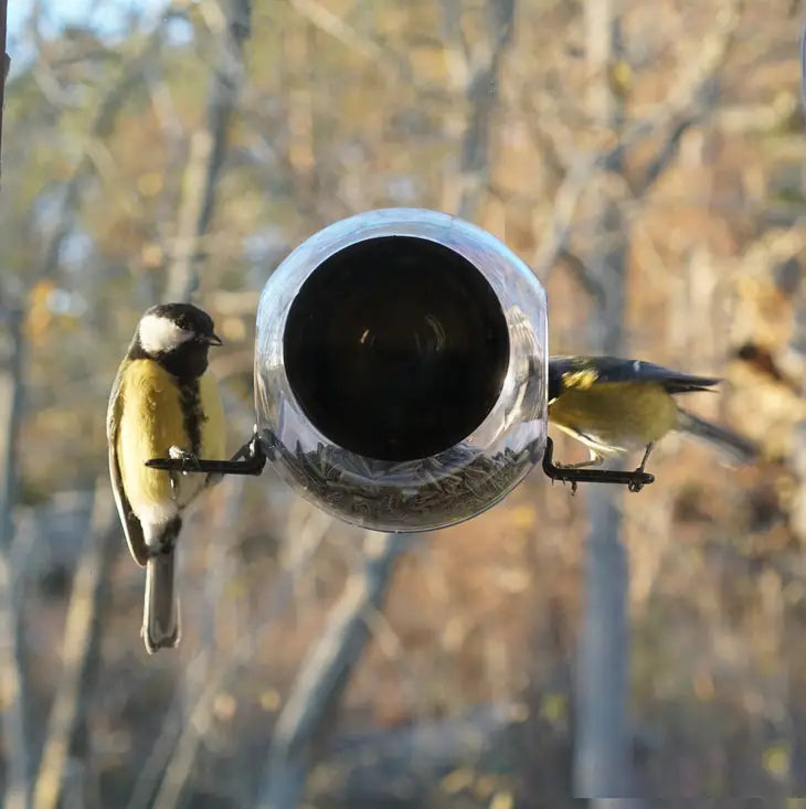 Born in Sweden Birdfeeder