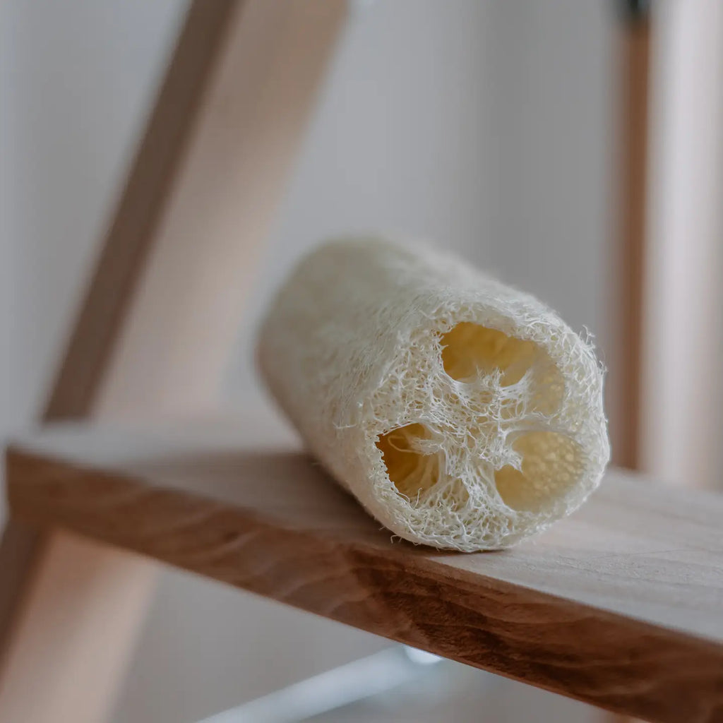 Loofah Sponge