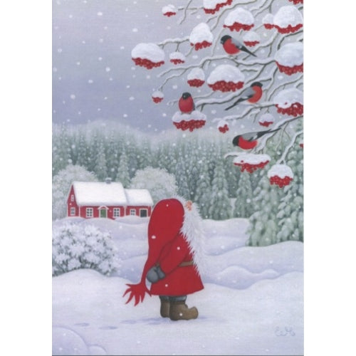 Eva Melhuish Tomte Christmas Cards, Box of 12