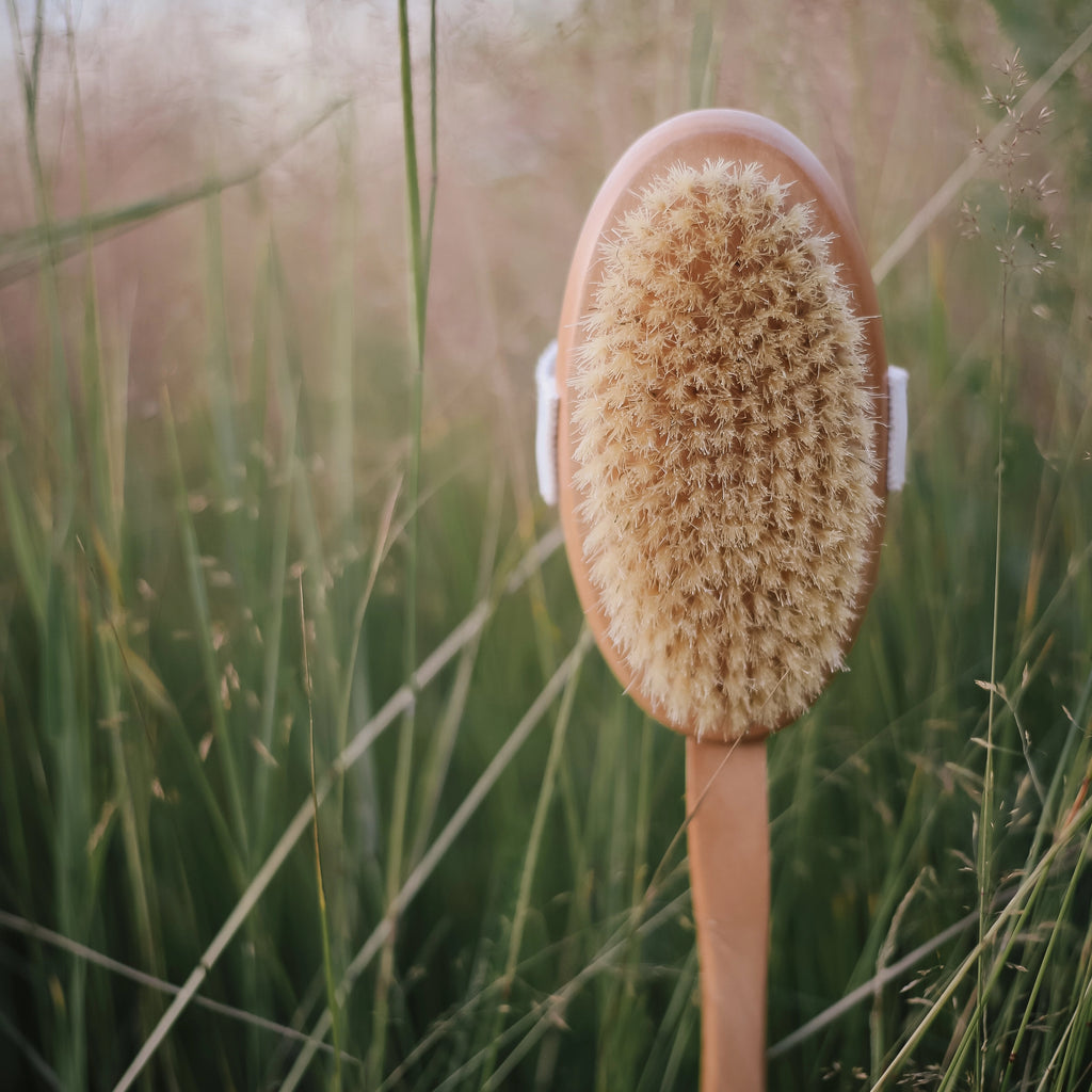 Bath Brush with Long Handle