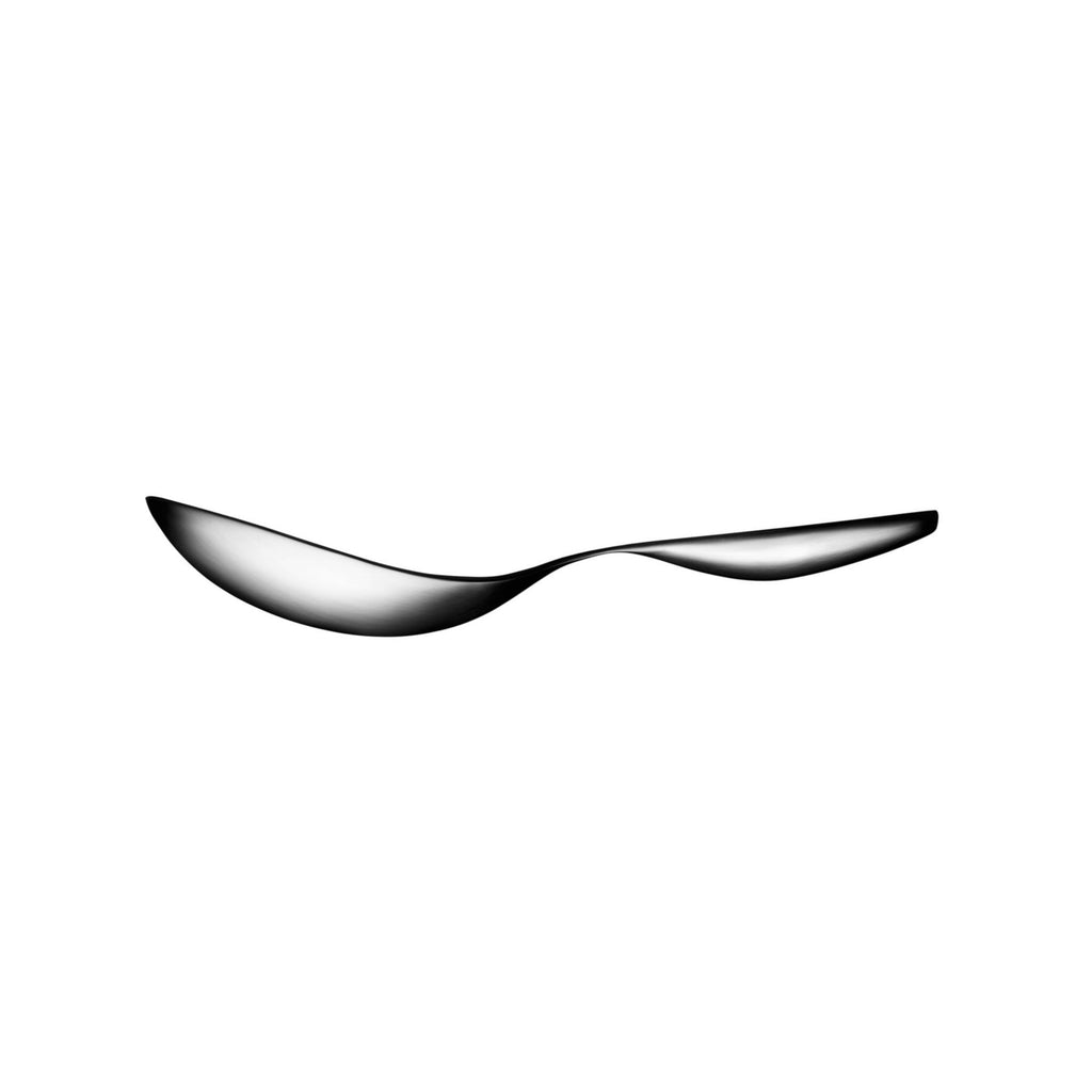 Collective Tools Serving Spoon, Small