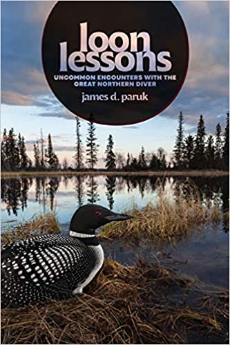 Loon Lessons: Uncommon Encounters with the Great Northern Diver